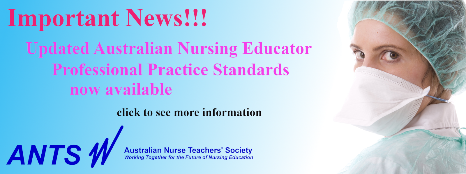 Australian Nursing Educator Professional Practice Standards 2024